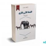 اقتصاد کلان رفتاری (نظریه و سیاست) - گراوی - سوری - نورعلم