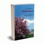 به سوی نظریه ای در باب توسعه عادلانه - دکتر پاسبانی صومعه