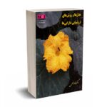 مدل ها و روش های ارزشیابی دارایی ها - افسانه رفیعی - حسابداران خبره
